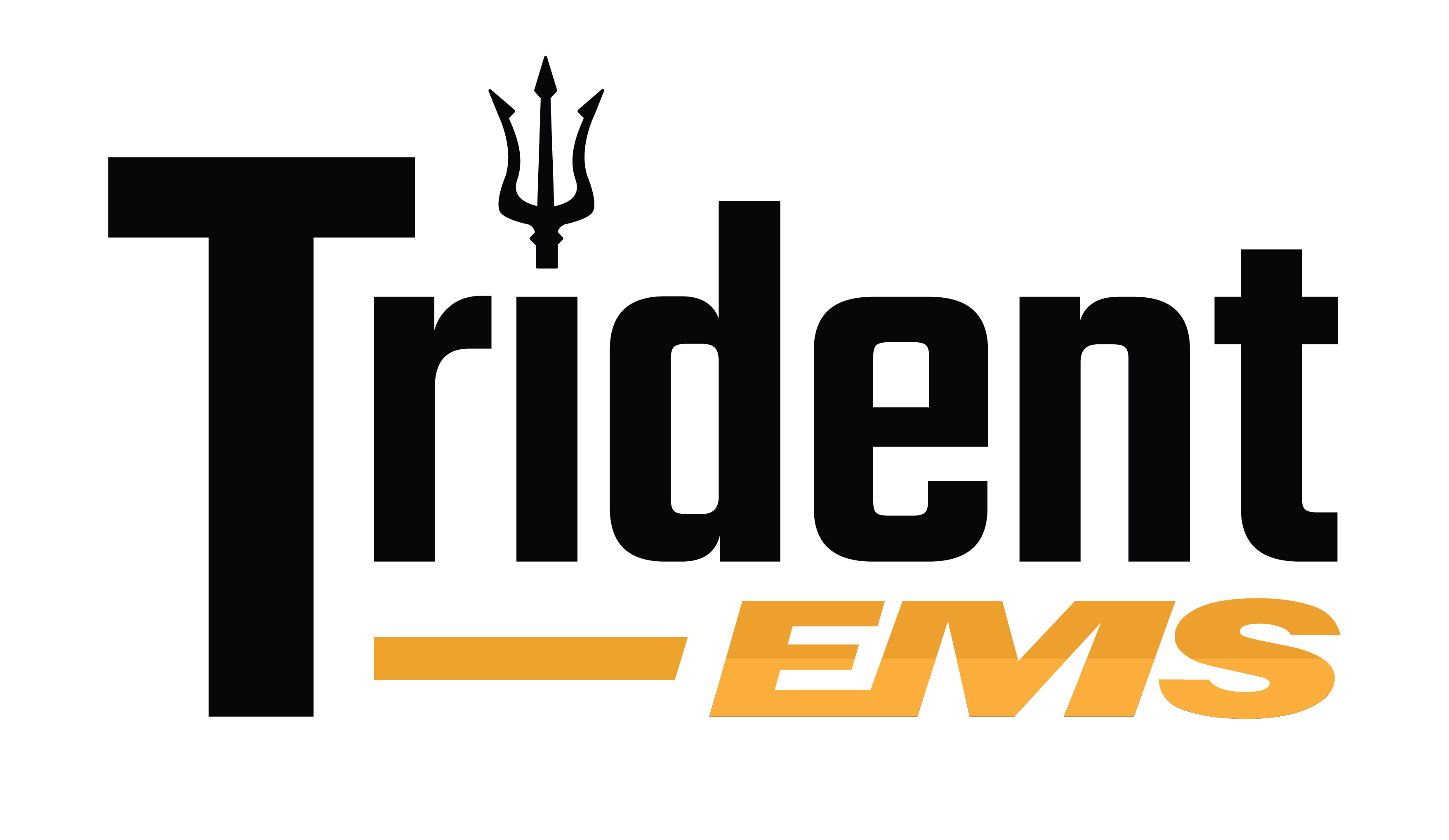 Trident EMS Logo