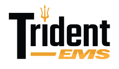 Trident EMS Logo Final 03 bg White